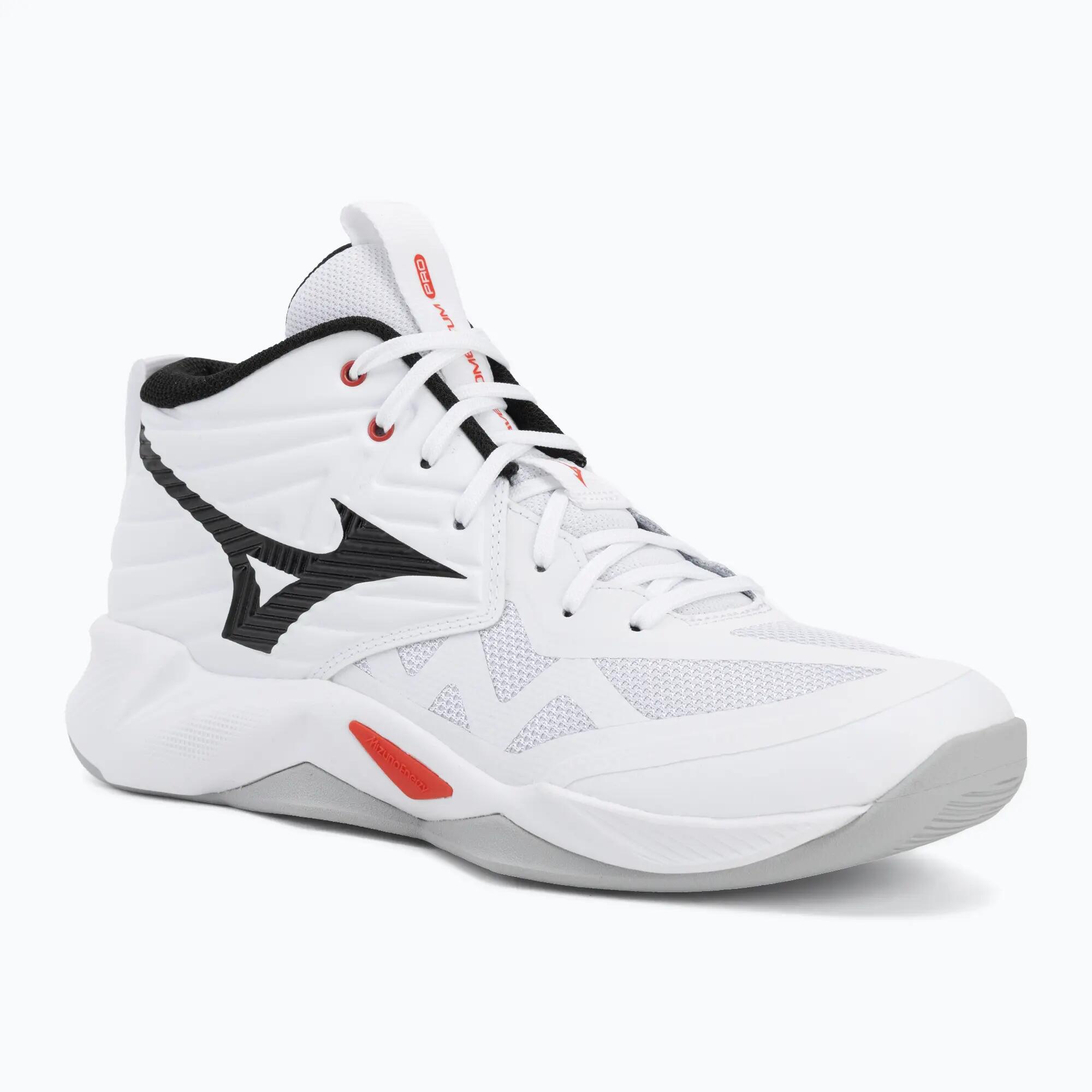MIZUNO picture