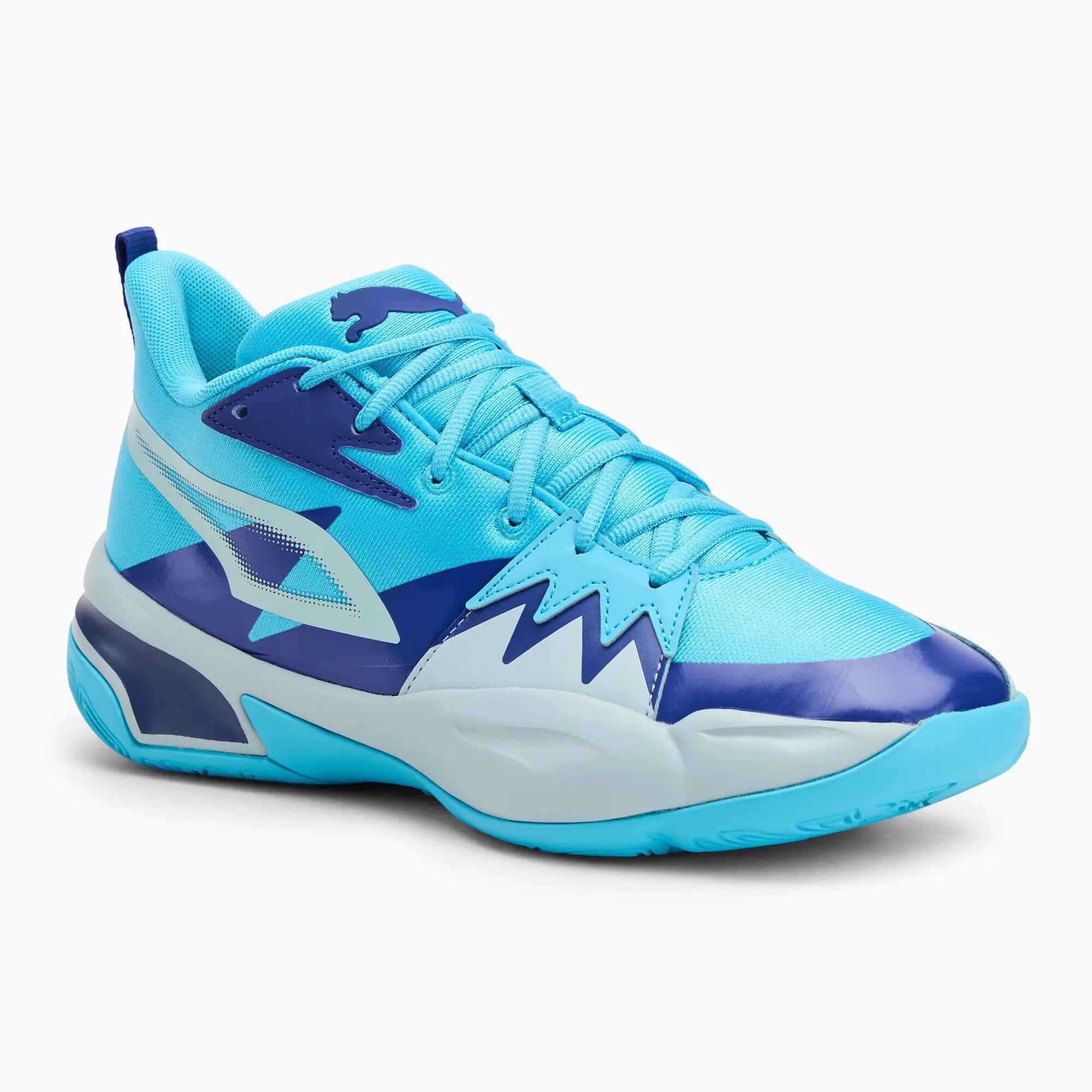 PUMA picture