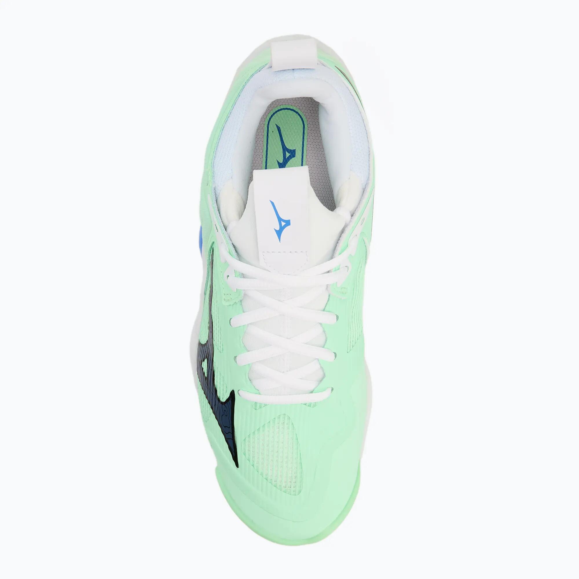 Sálové boty Mizuno Wave Momentum 5/7