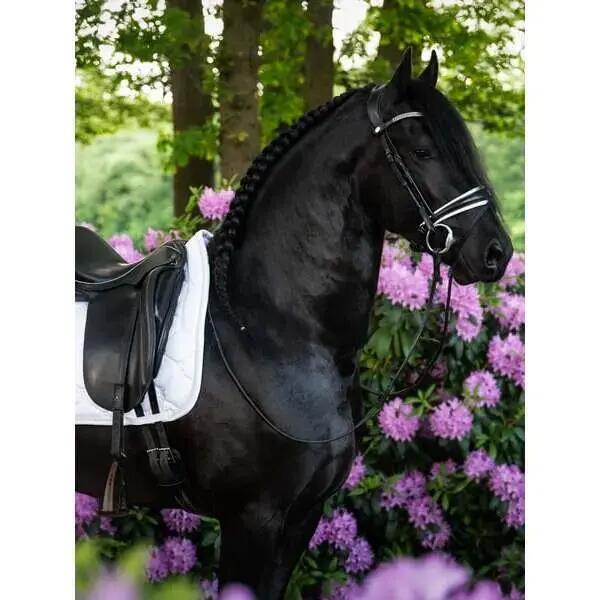 Sottosella dressage PS of Sweden Signature 2/3