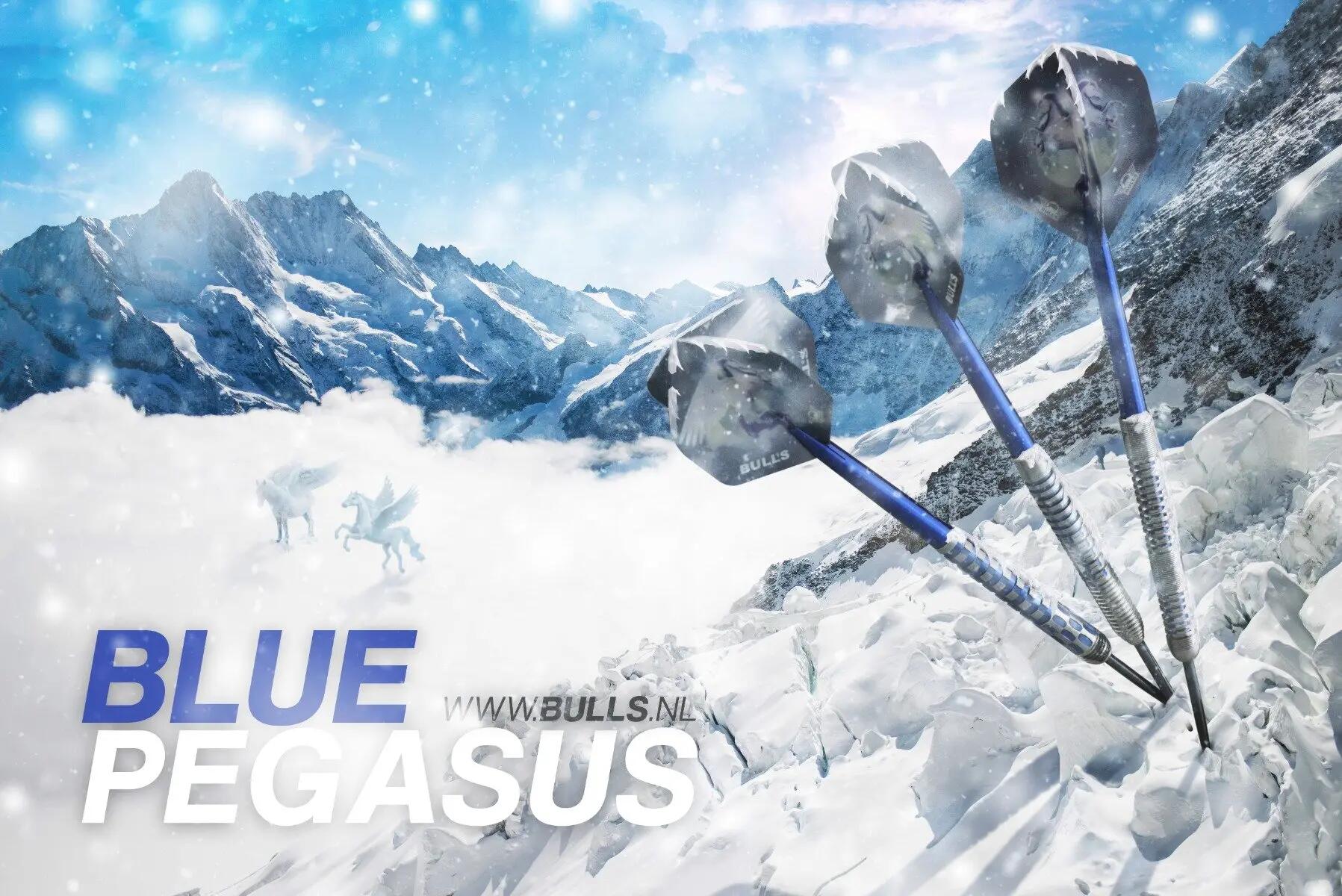 BULLS Blue Pegasus B 95% Tungsten 23g Steeldarts 7/7