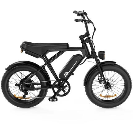 Elektrisches Fat Bike 20 Zoll 250W 36V 12Ah E-Bike 7 Gang