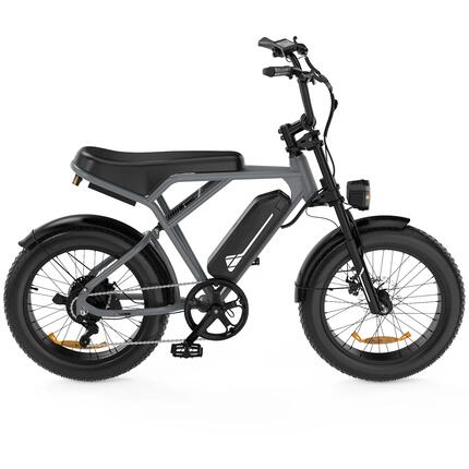 Elektrisches Fat Bike 20 Zoll 250W 36V 12Ah E-Bike 7 Gang