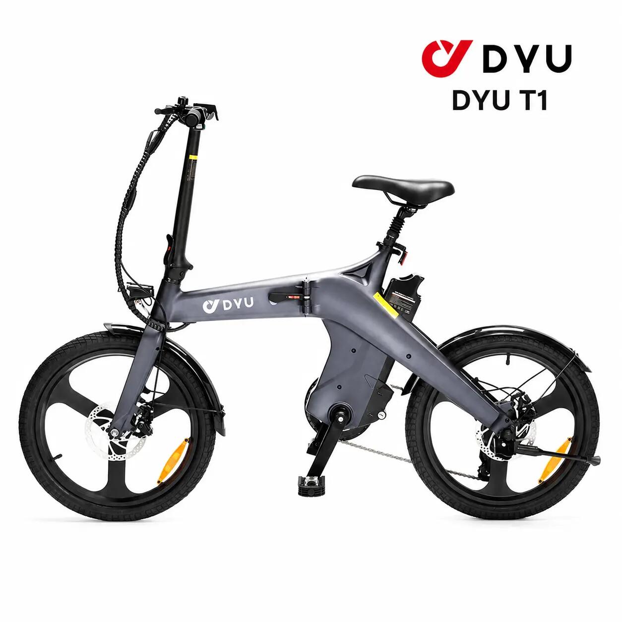DYU picture