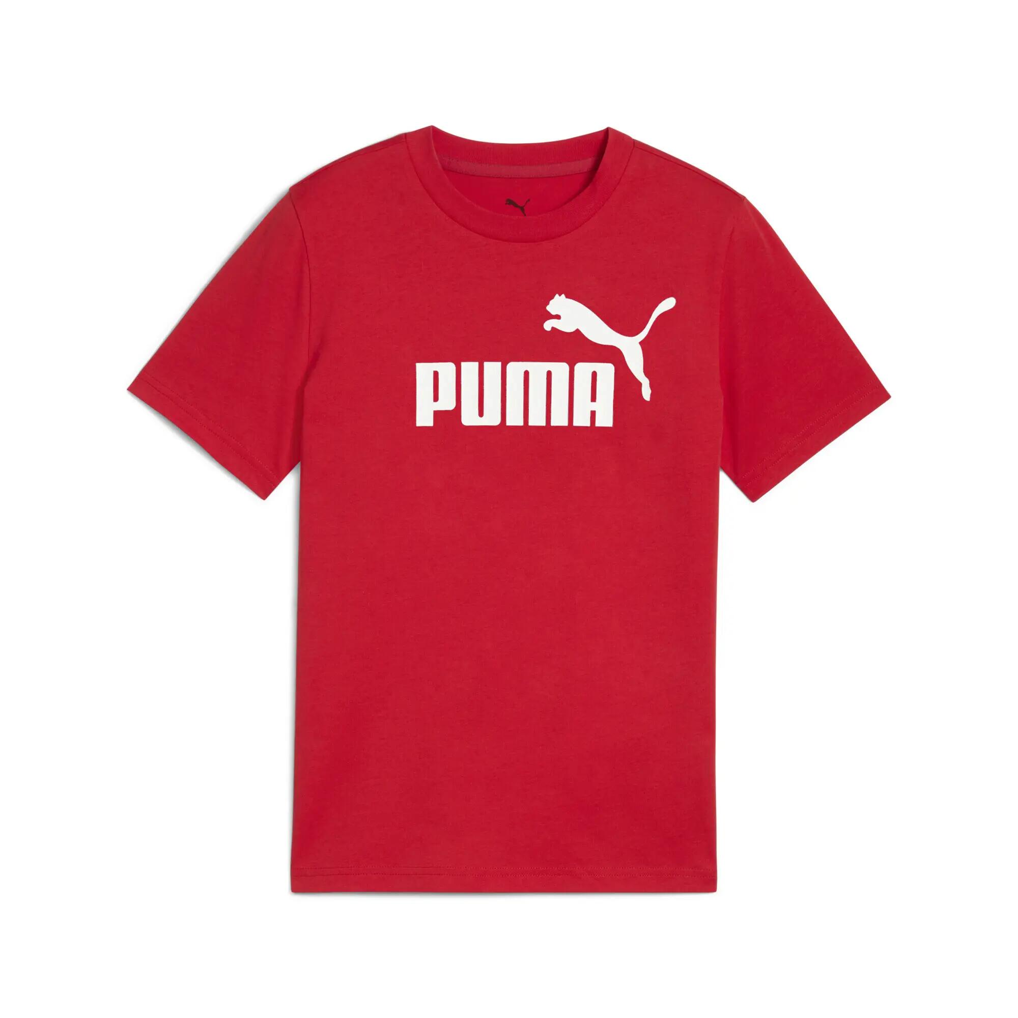 PUMA picture