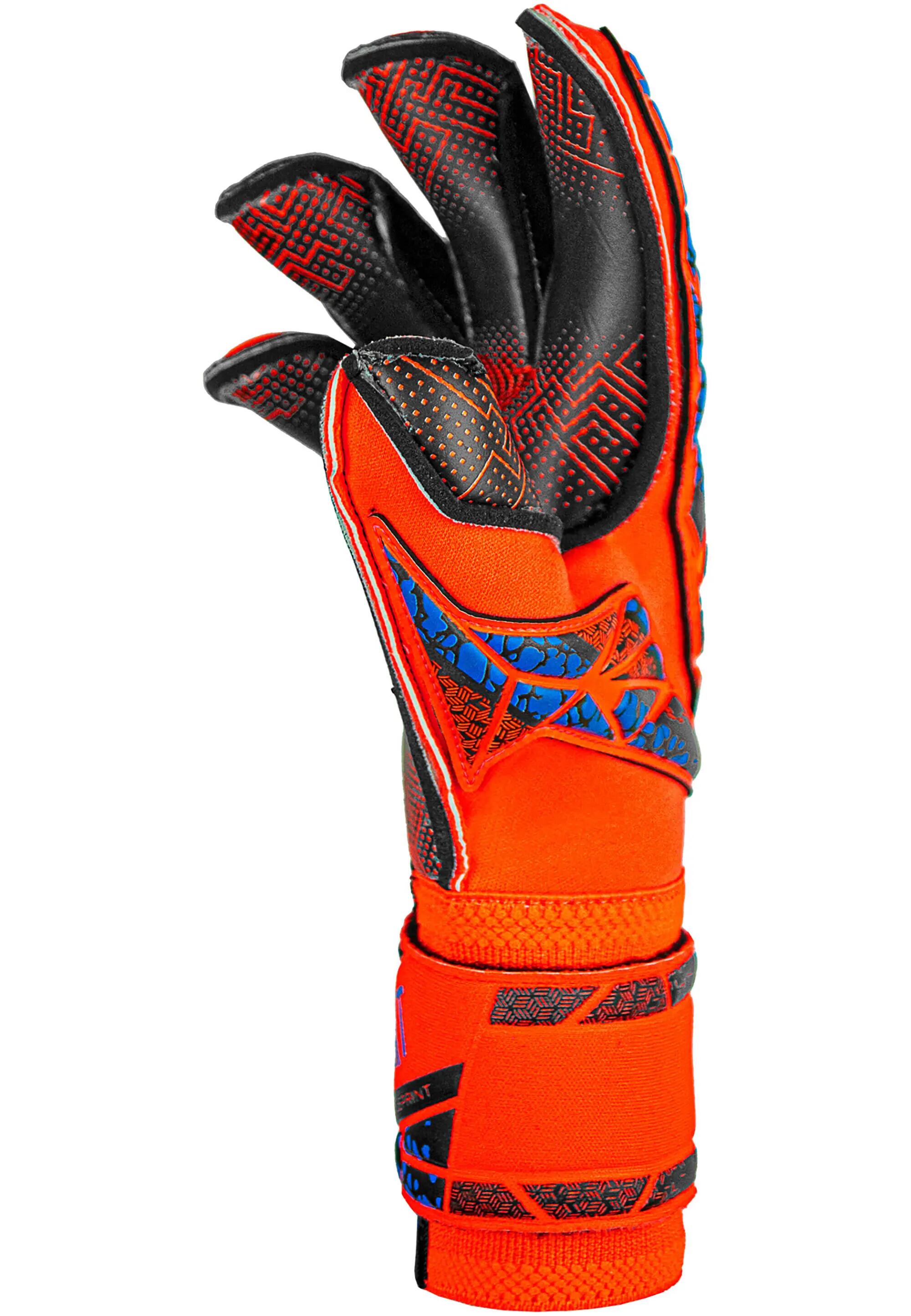 REUSCH Gants de gardien Attrakt Gold X Evolution GluePrint 4/8