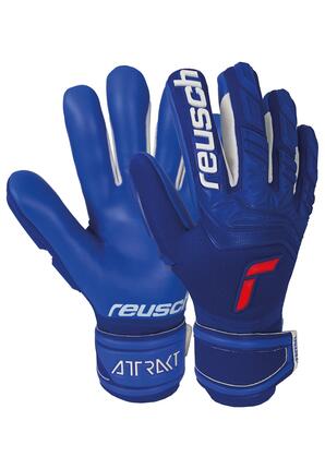 Rękawice bramkarskie Reusch Attrakt Freegel Silver
