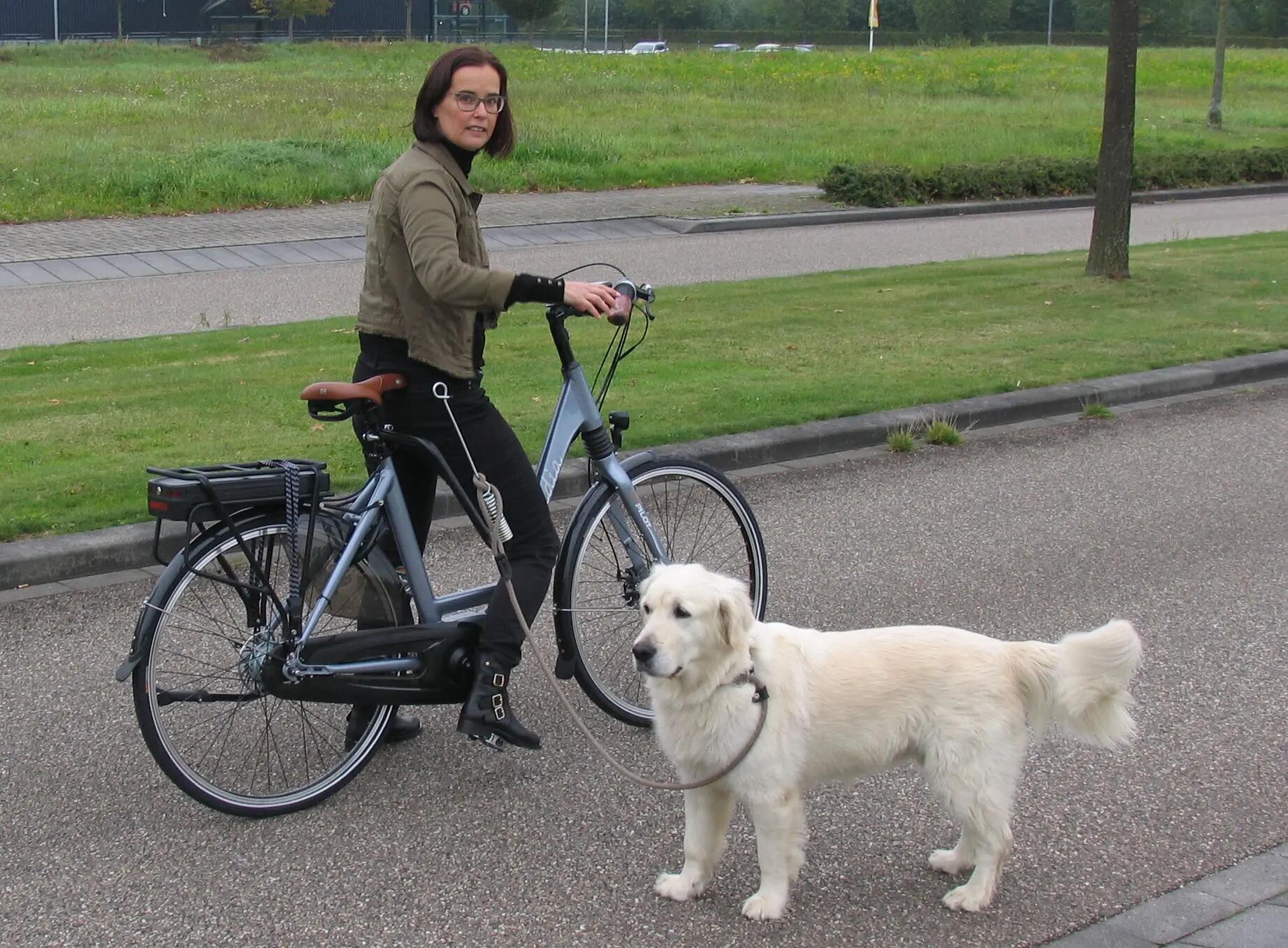 Trela de bicicleta para cães 7/7
