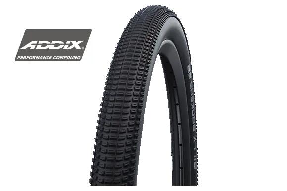 SCHWALBE picture