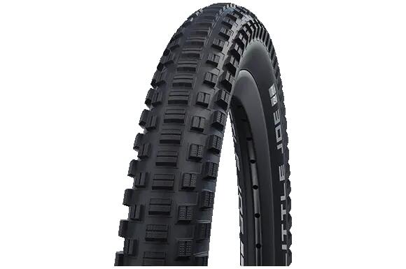 SCHWALBE picture