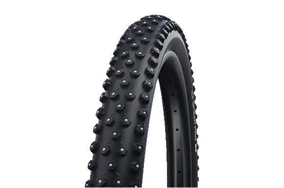 SCHWALBE picture