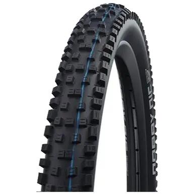 SCHWALBE picture