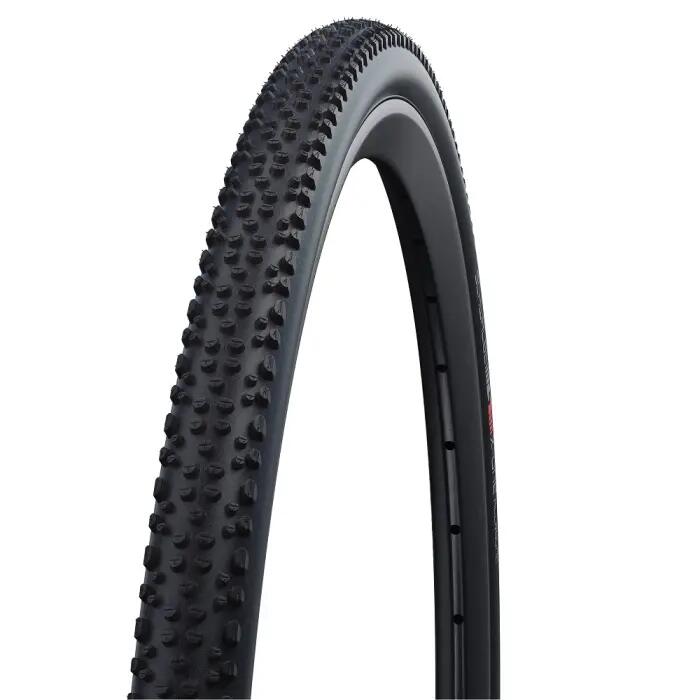 SCHWALBE picture