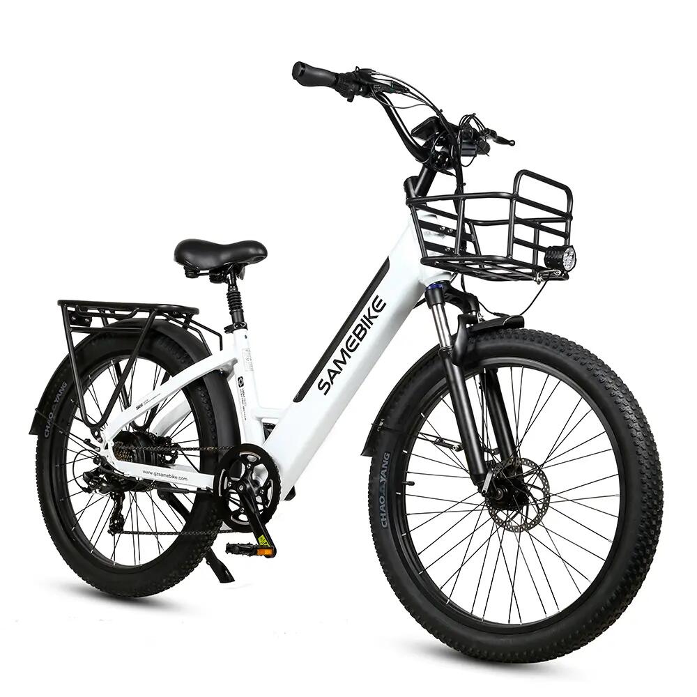 SAMEBIKE picture