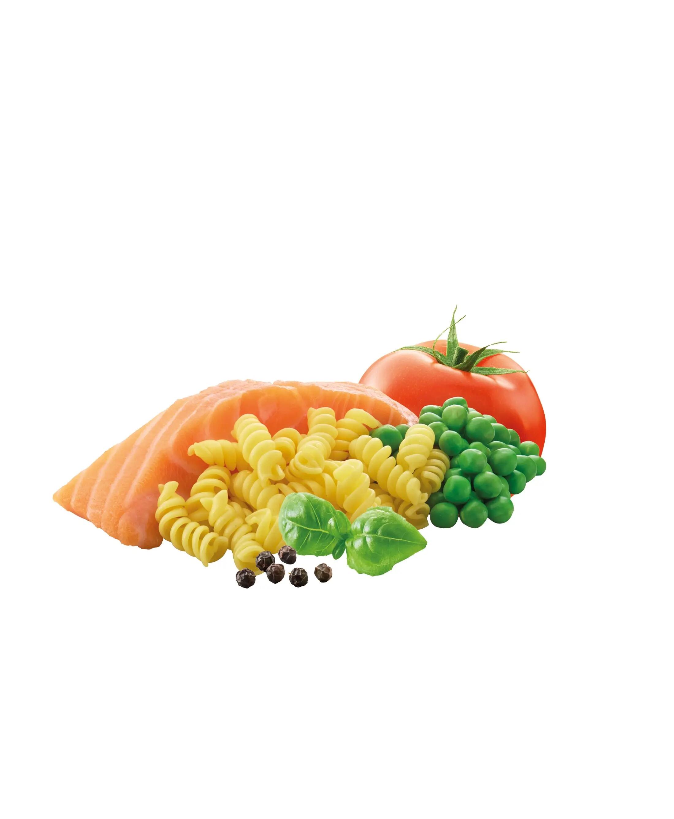 Adventure Food Pasta al Salmone 148 g 2/7