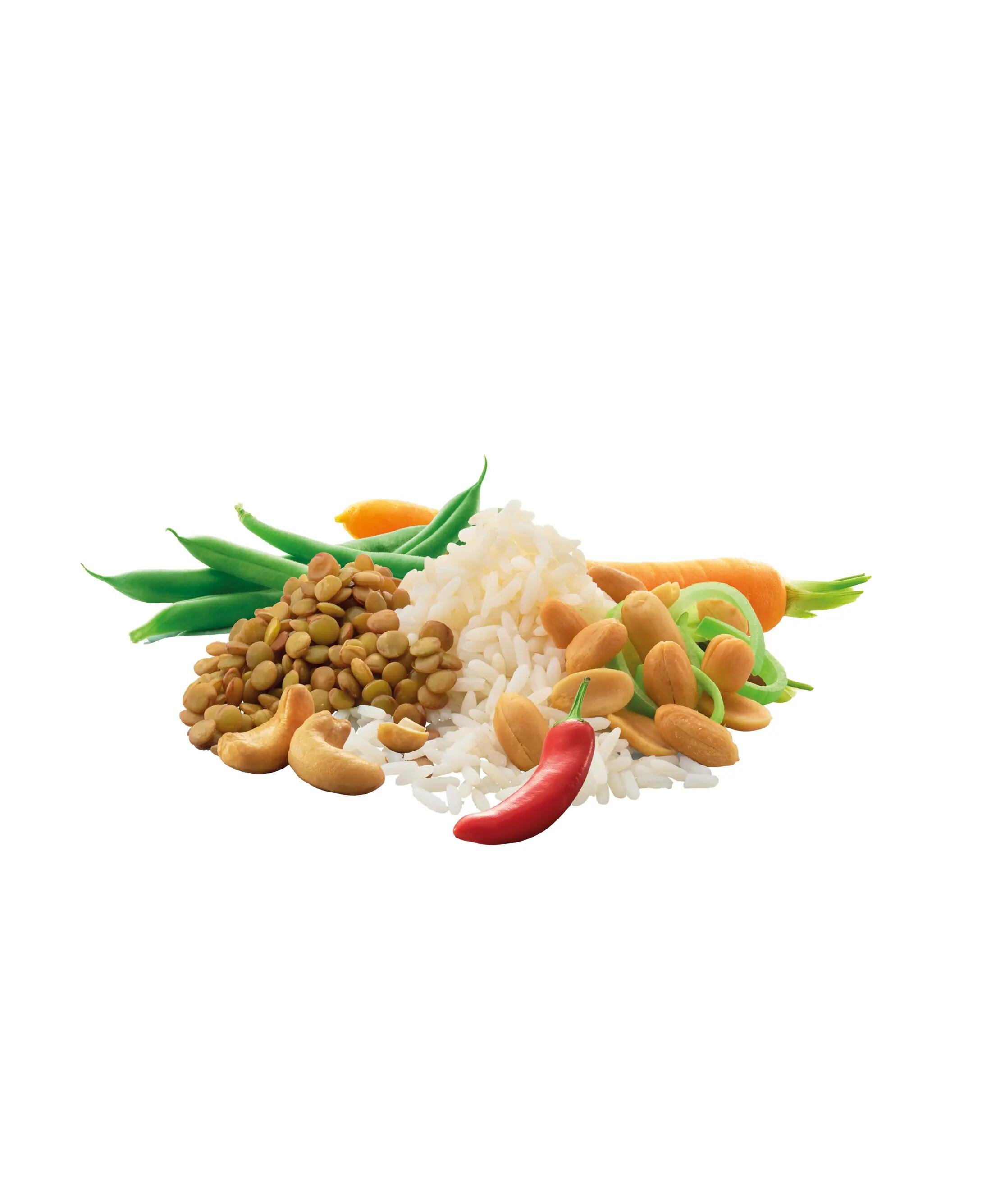 Adventure Food Nasi aux Noix de Cajou – Repas Individuel 2/7