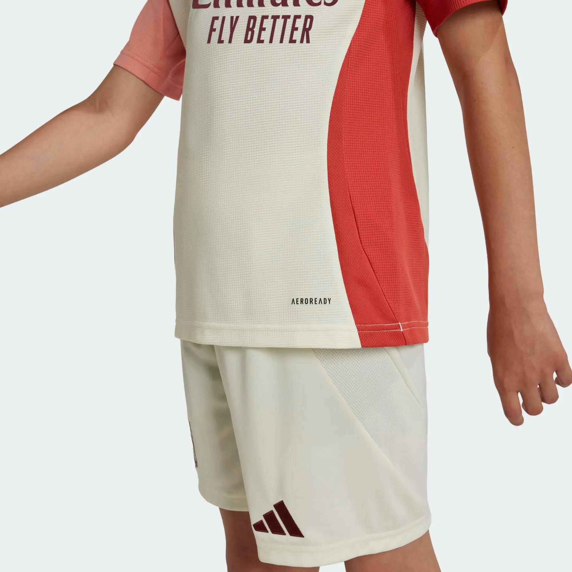 Maillot Third Olympique Lyonnais 24/25 Enfants 4/7