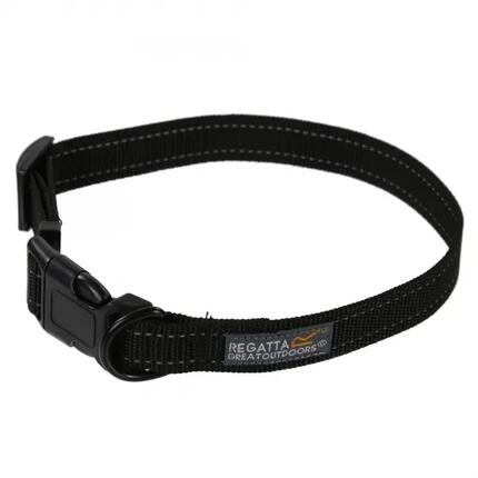 Collier pour chien Regatta