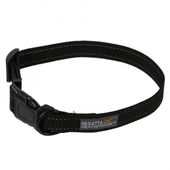 Collier pour chien Regatta