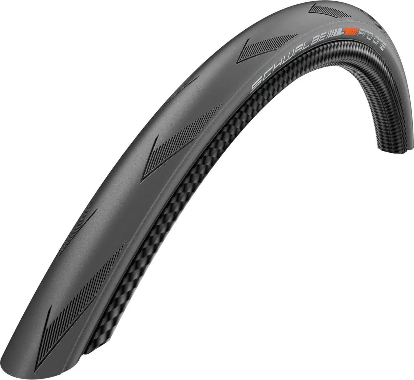 SCHWALBE picture