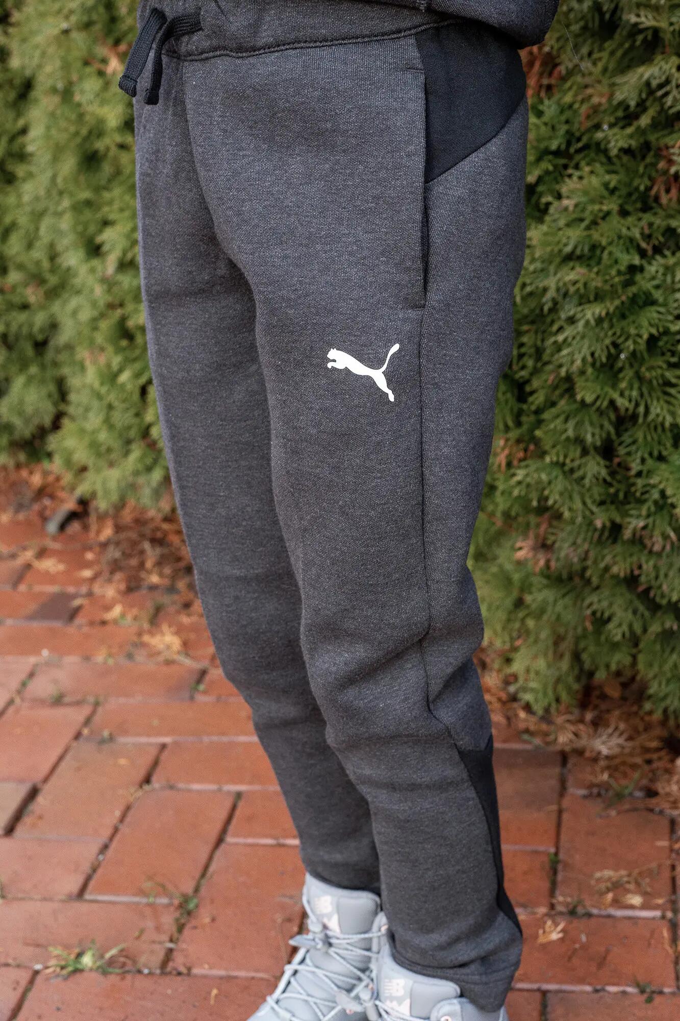 PUMA picture