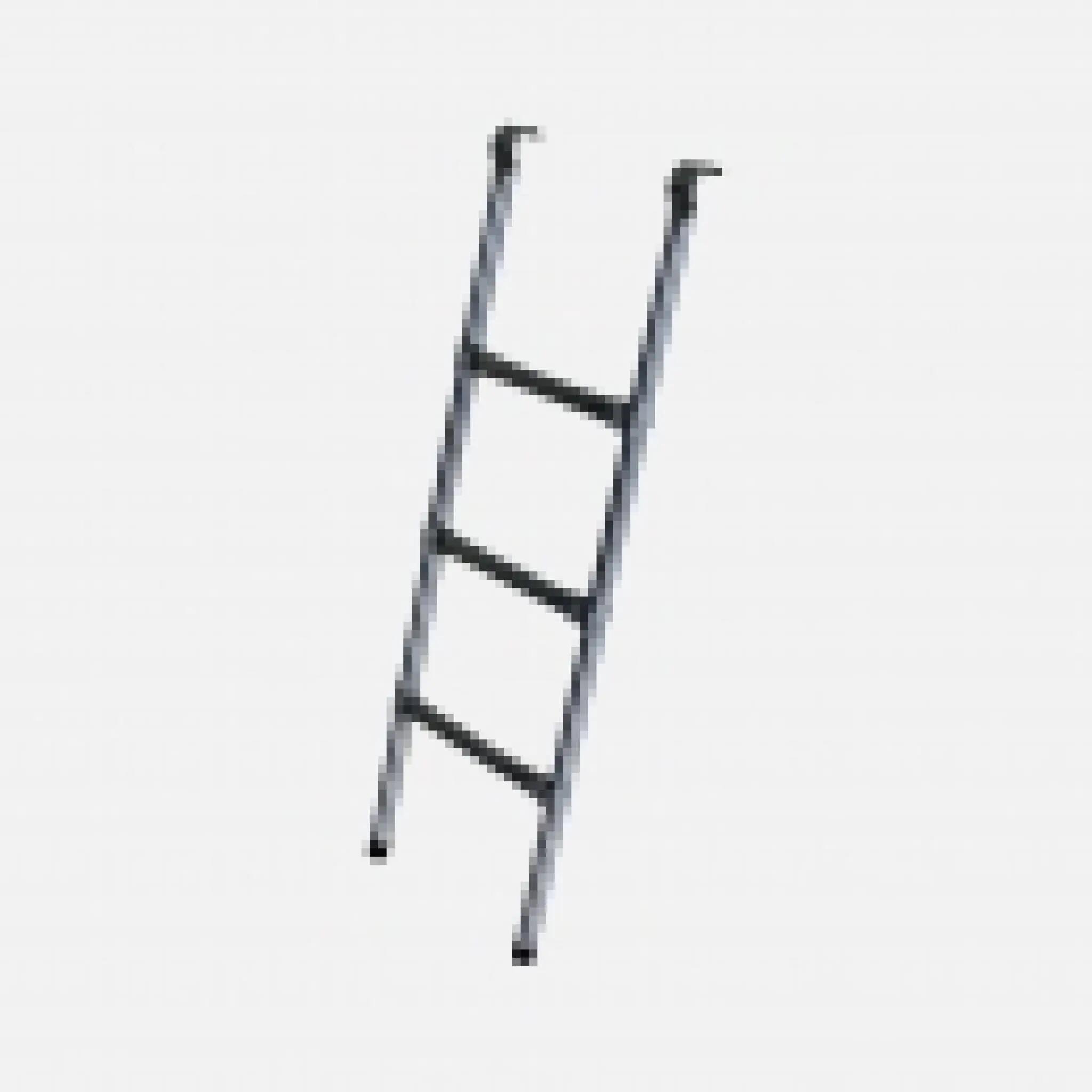 Leiter für Trampolin 460 bis 490cm Durchmesser Aus Stahl Qualität PRO. 2/2