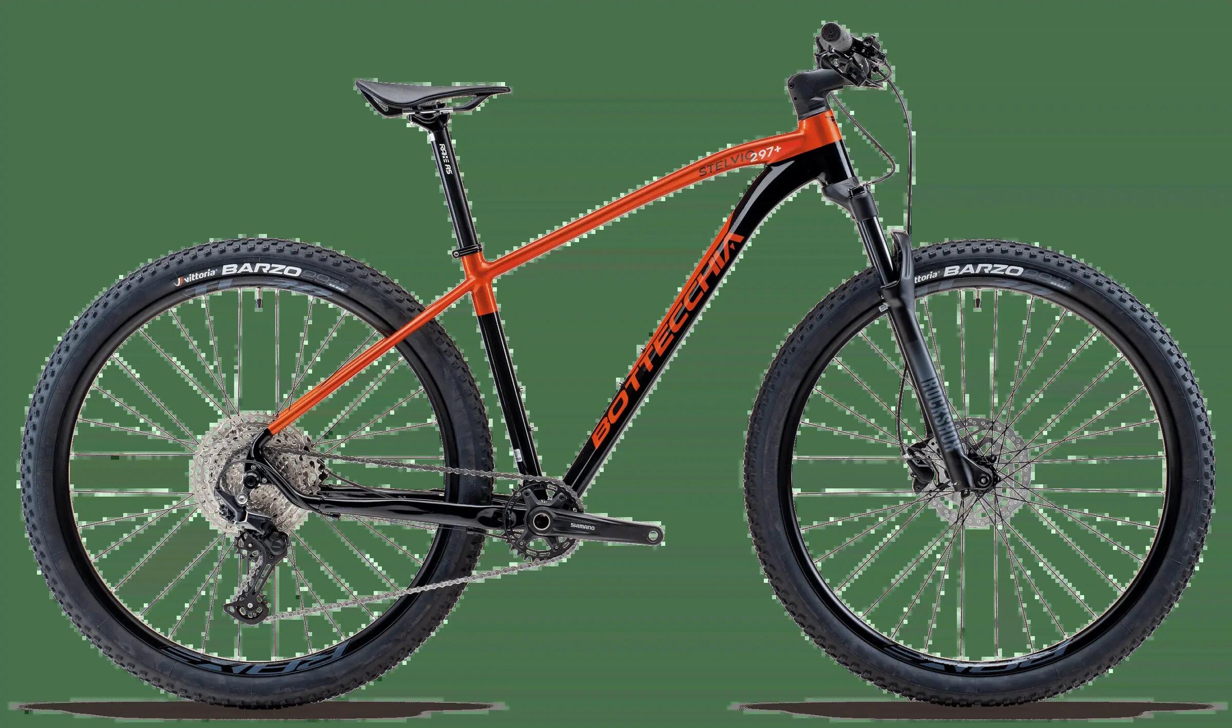BOTTECCHIA picture