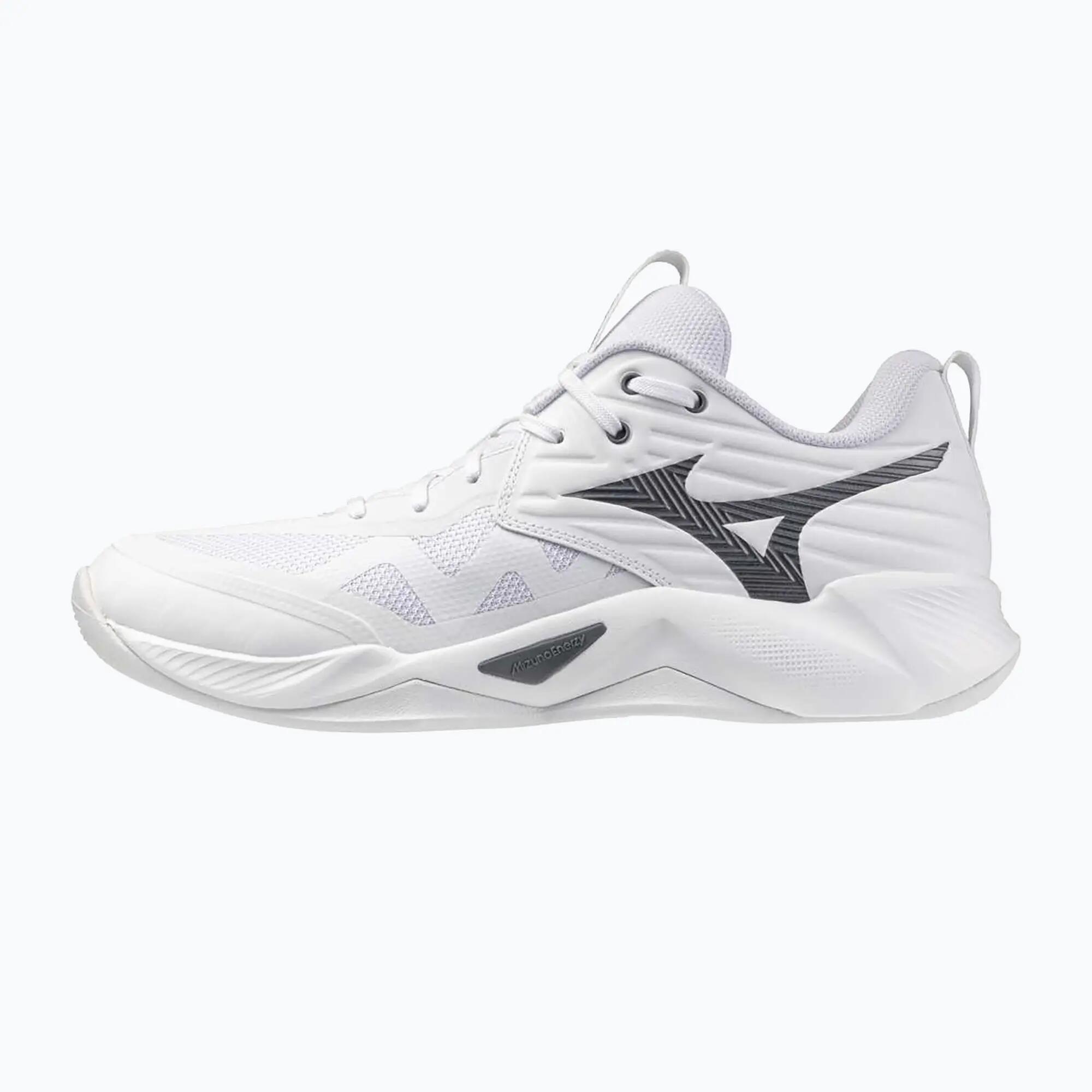 MIZUNO picture