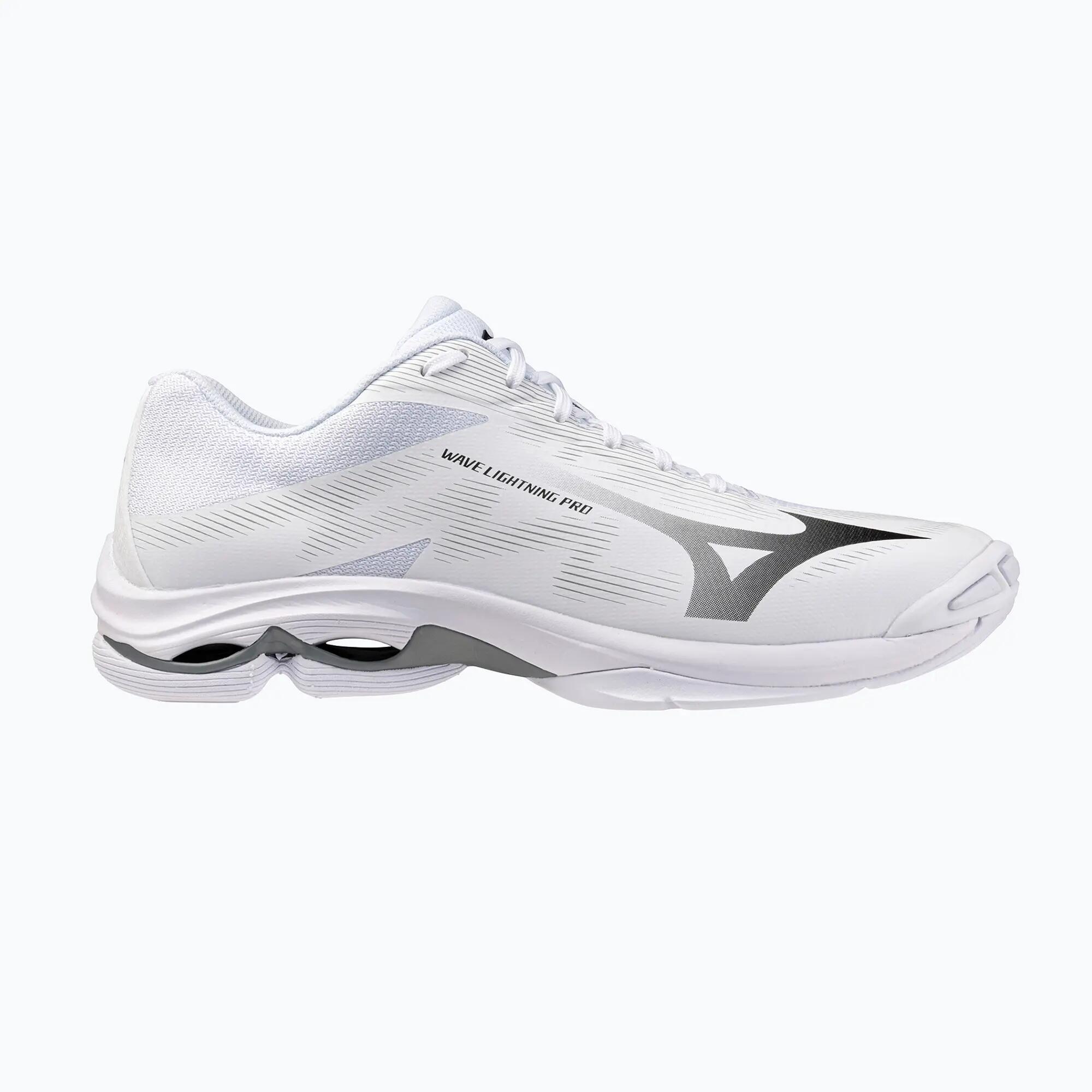 MIZUNO picture