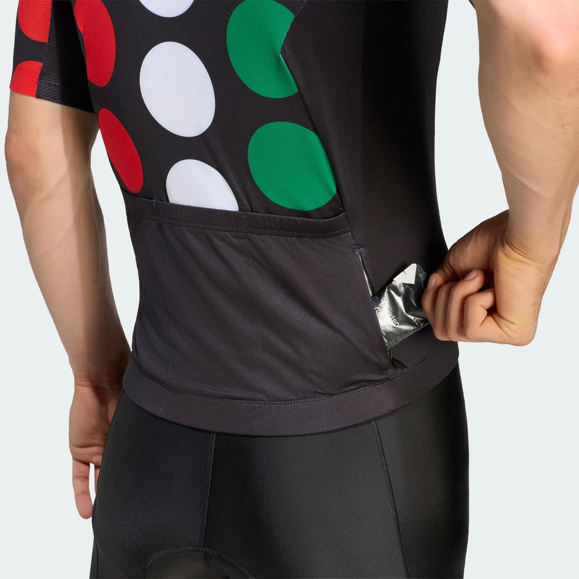 MAILLOT DE CYCLISME MERCEDES - AMG PETRONAS FORMULA 1 TEAM GIRO DI MERCEDES 5/5