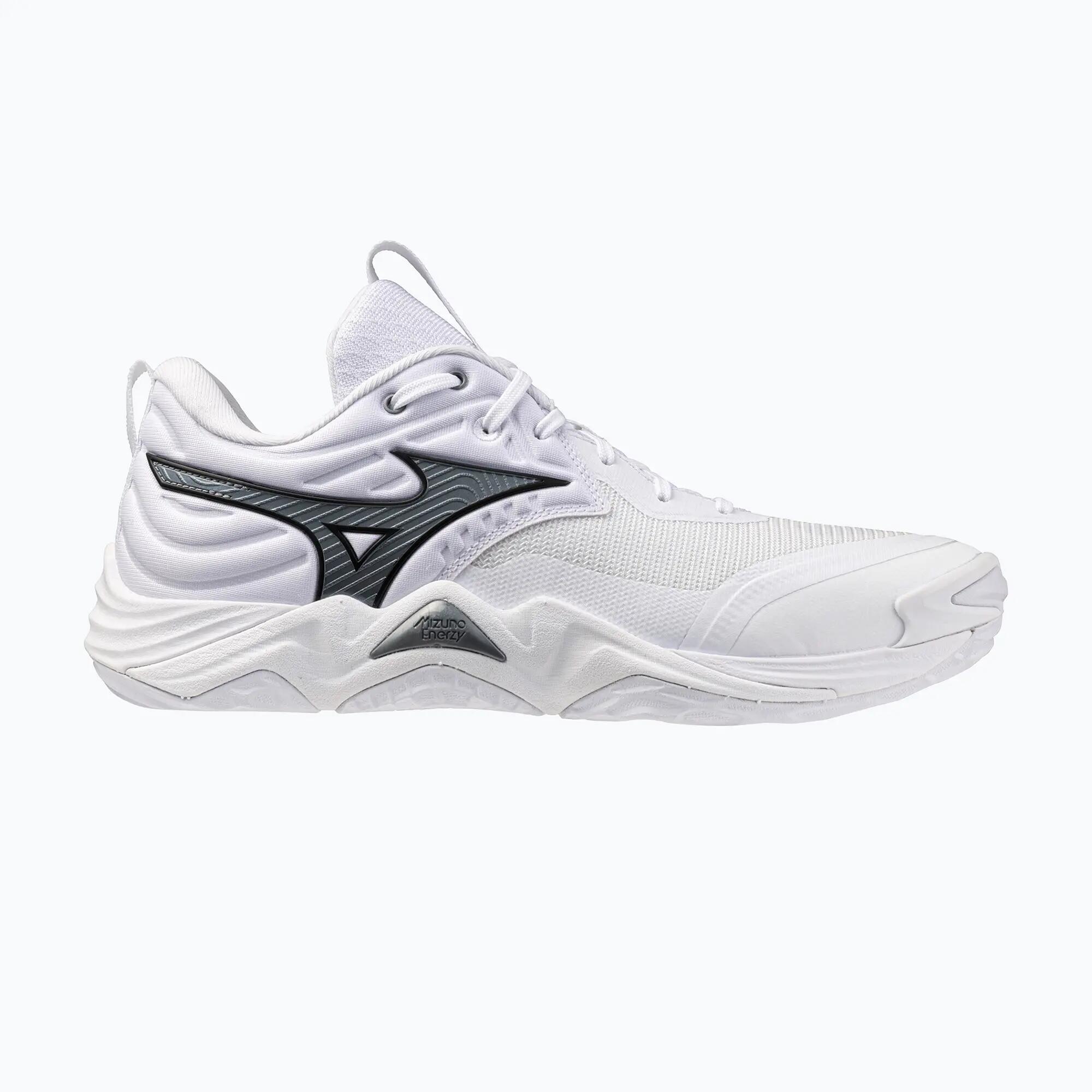 MIZUNO picture