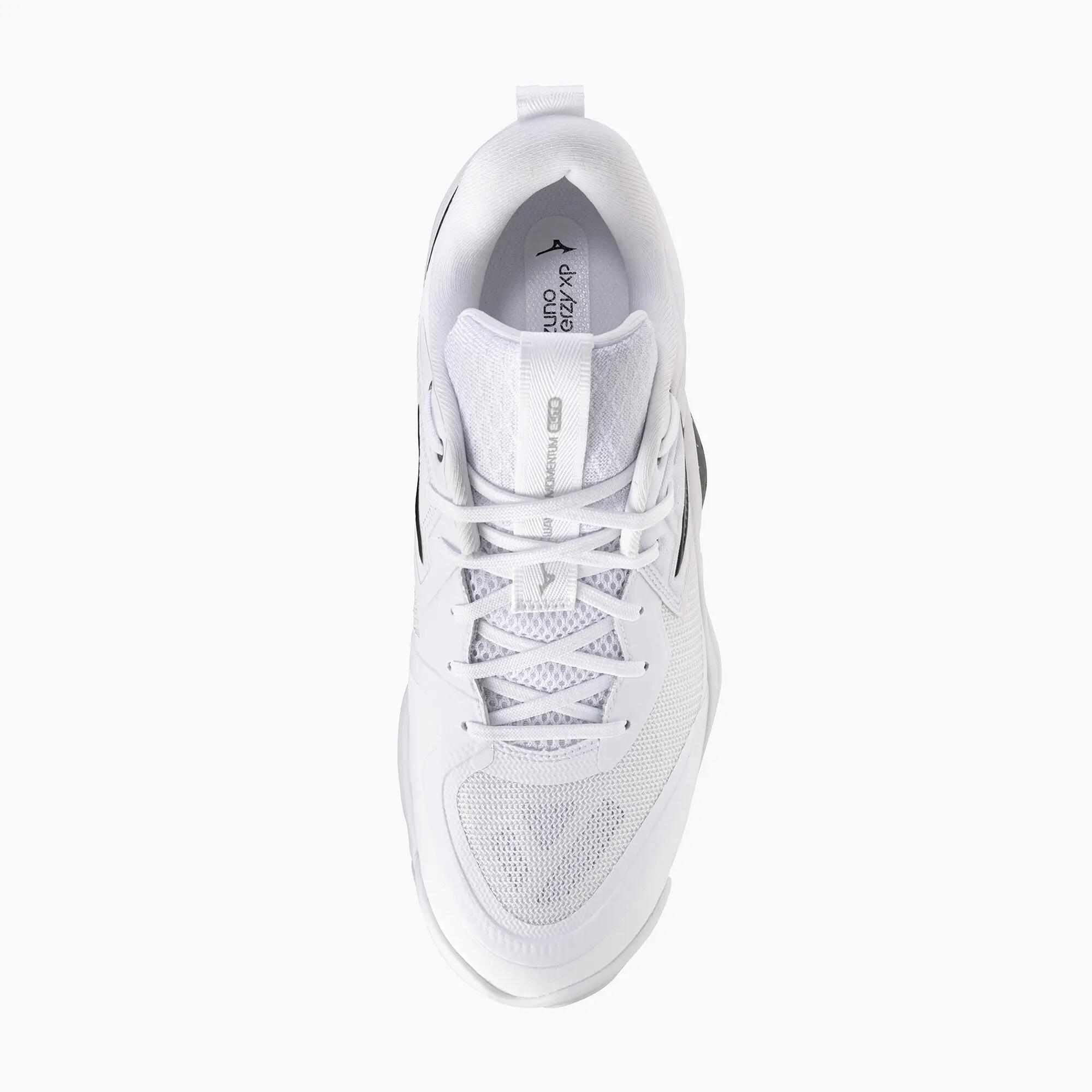 Buty do siatkówki Mizuno Wave Momentum Elite 5/6