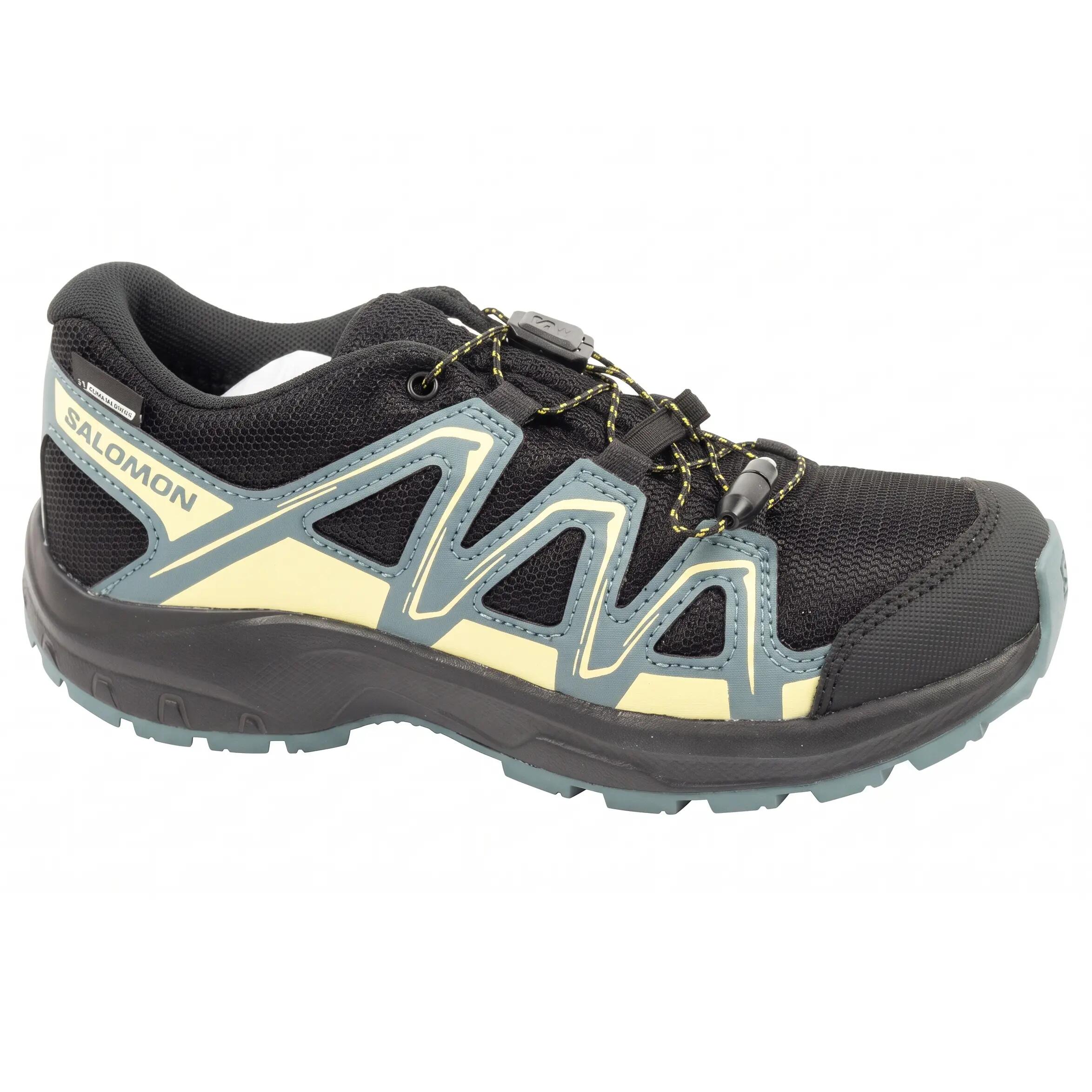 SALOMON picture