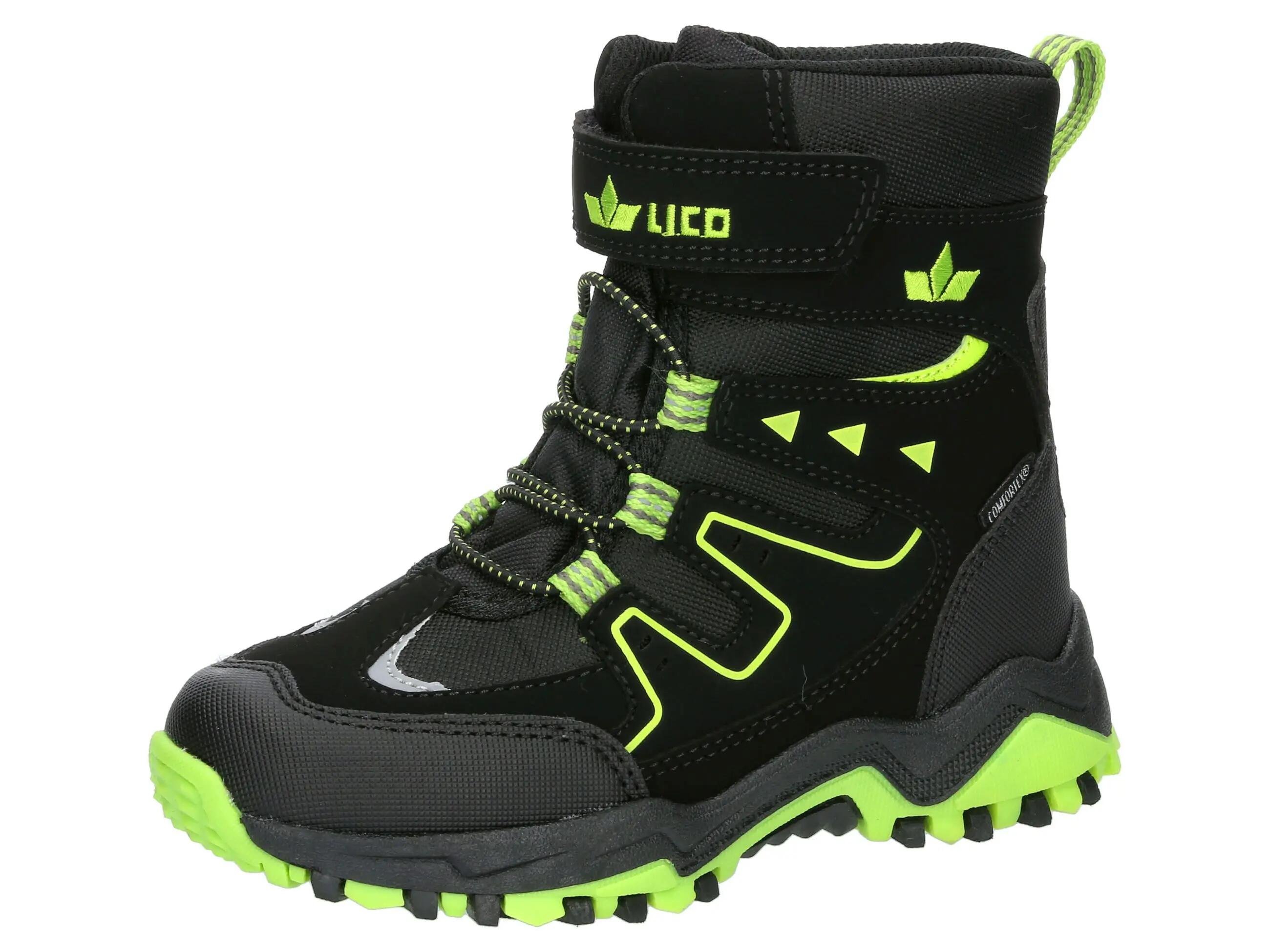 LICO picture