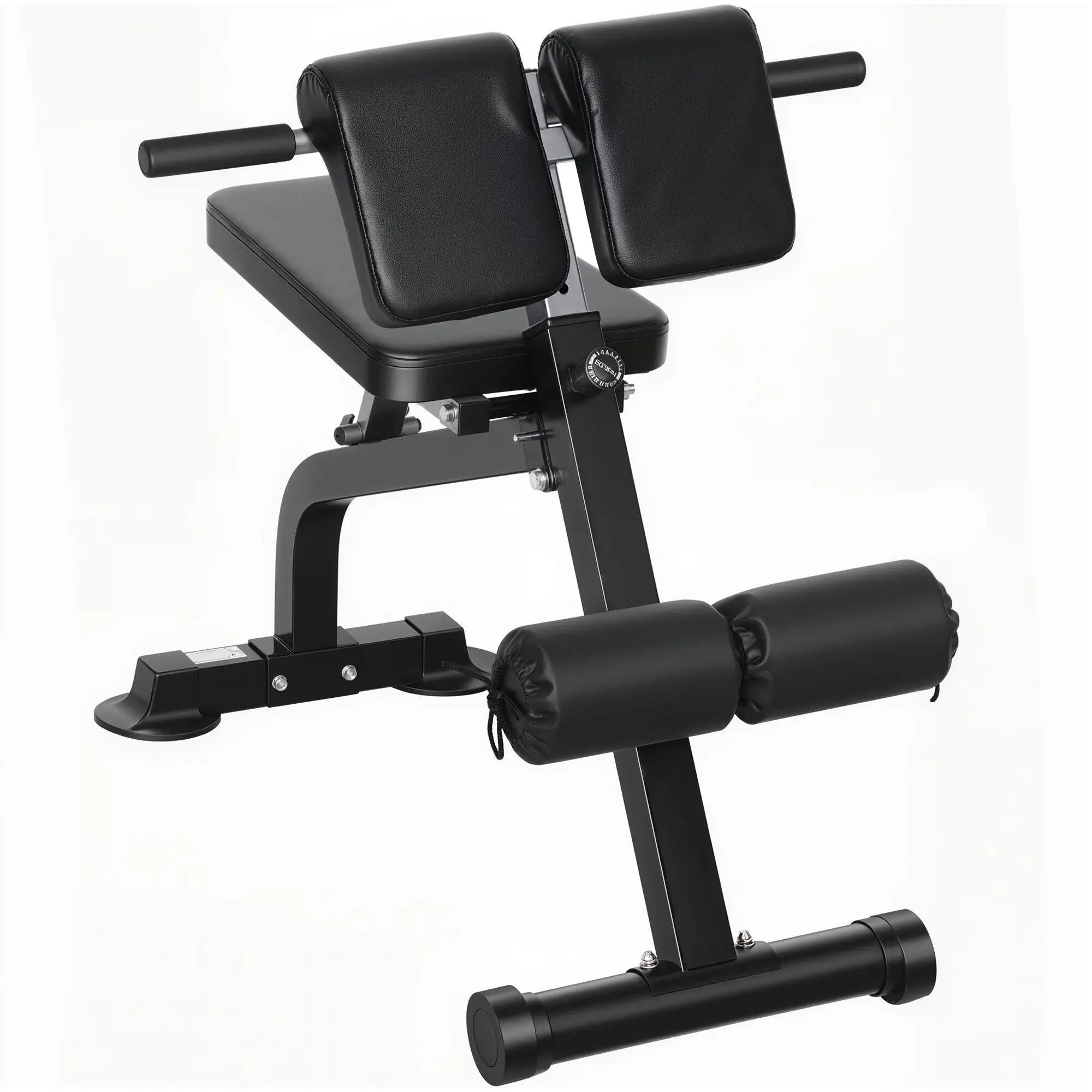 Banc de musculation pliable réglable à abdominaux et lombaires noir 1/5
