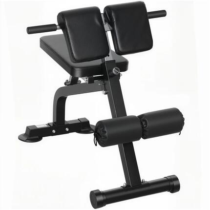 Banc de musculation pliable réglable à abdominaux et lombaires noir