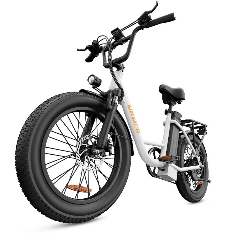 Bicicletta Elettrica Pieghevole da Pendolarismo E20 48V 13Ah, Shimano 7 velocità 5/5