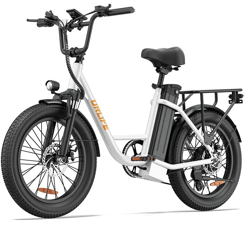 Bicicletta Elettrica Pieghevole da Pendolarismo E20 48V 13Ah, Shimano 7 velocità 4/5