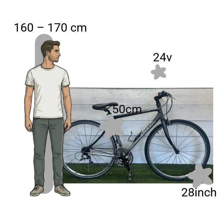 Bicicletta usata Giant FCR 2/4