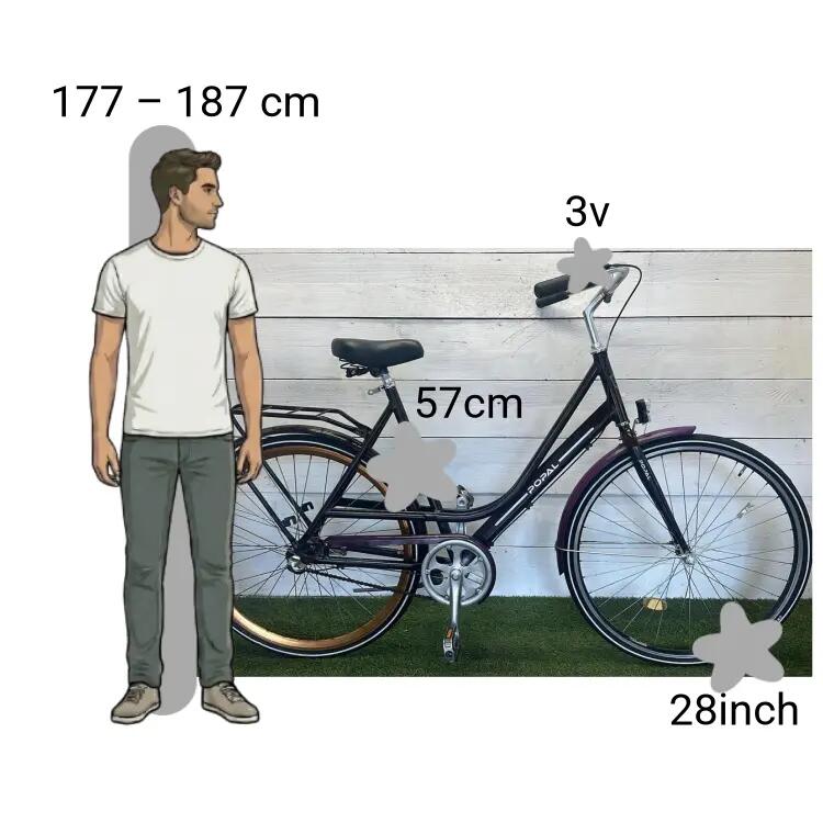 Bicicletta usata Popal 2/4