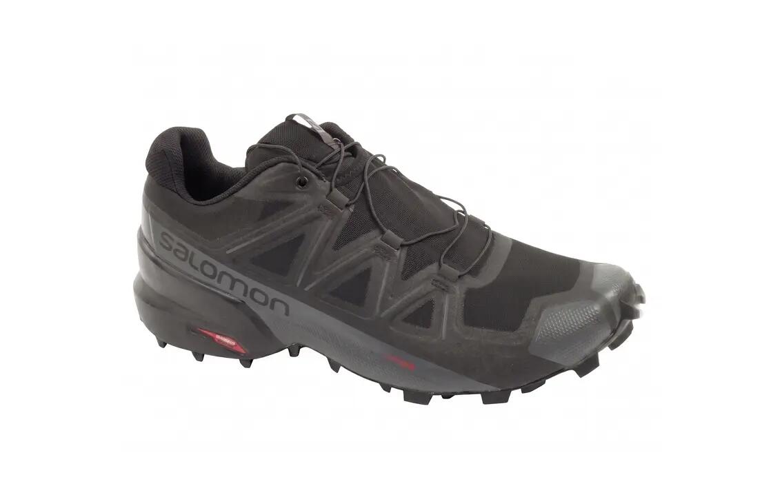 SALOMON picture