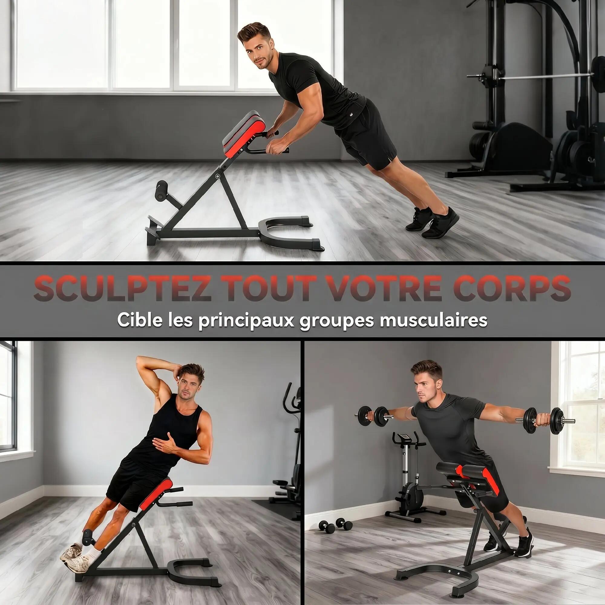 Banc de Musculation Réglable 5 Niveaux, Chaise Romaine avec Rouleaux en Mousse D 6/9