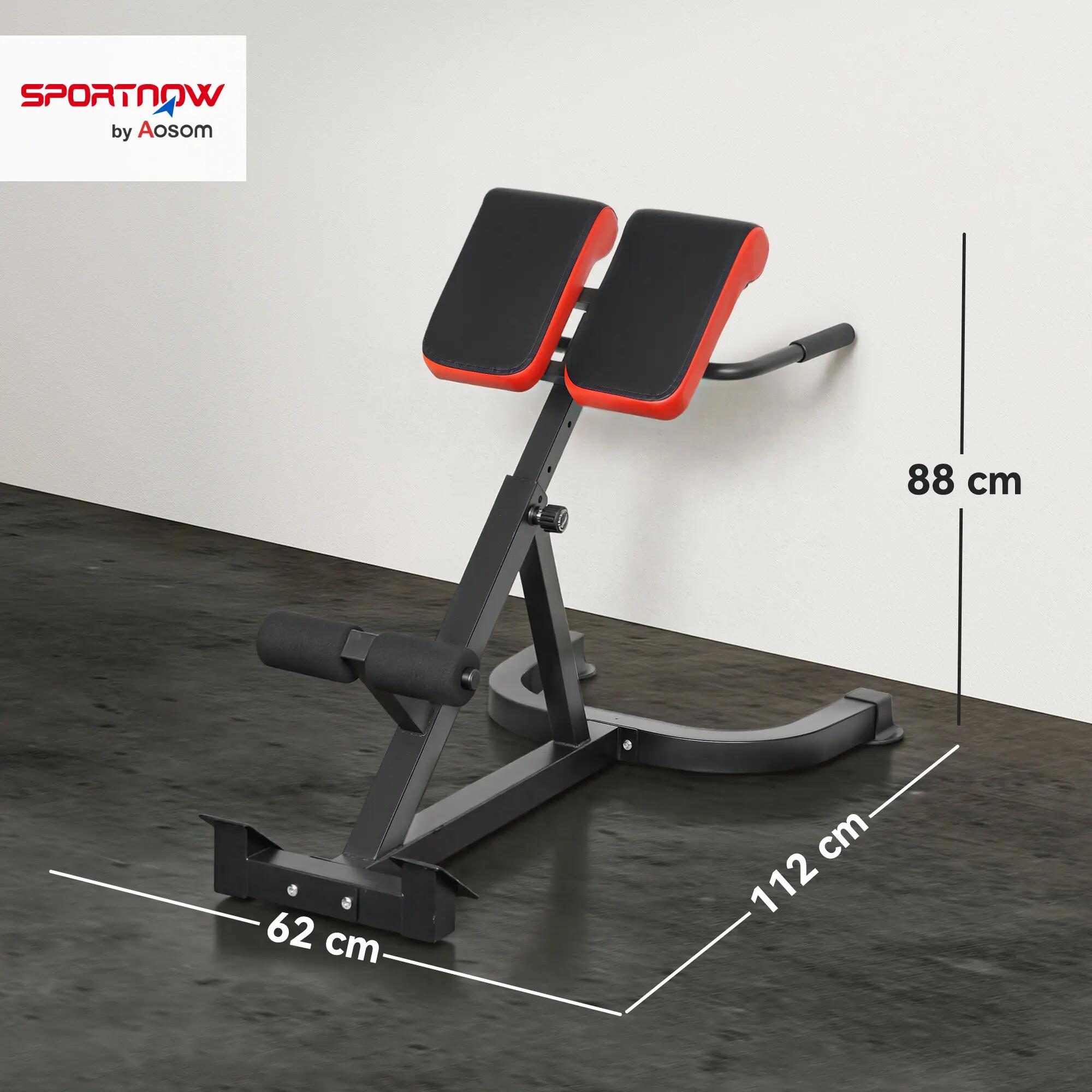 Banc de Musculation Réglable 5 Niveaux, Chaise Romaine avec Rouleaux en Mousse D 5/9