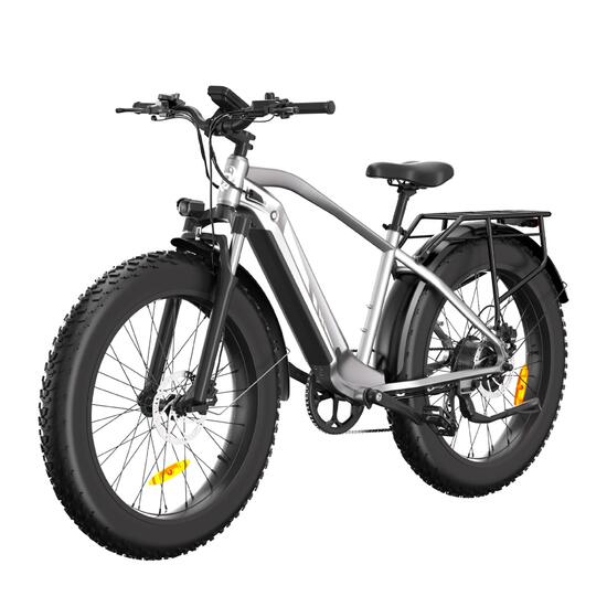 Elektrische fiets voor volwassenen Bodywel D6, 48V 15Ah-accu, 250W-motor