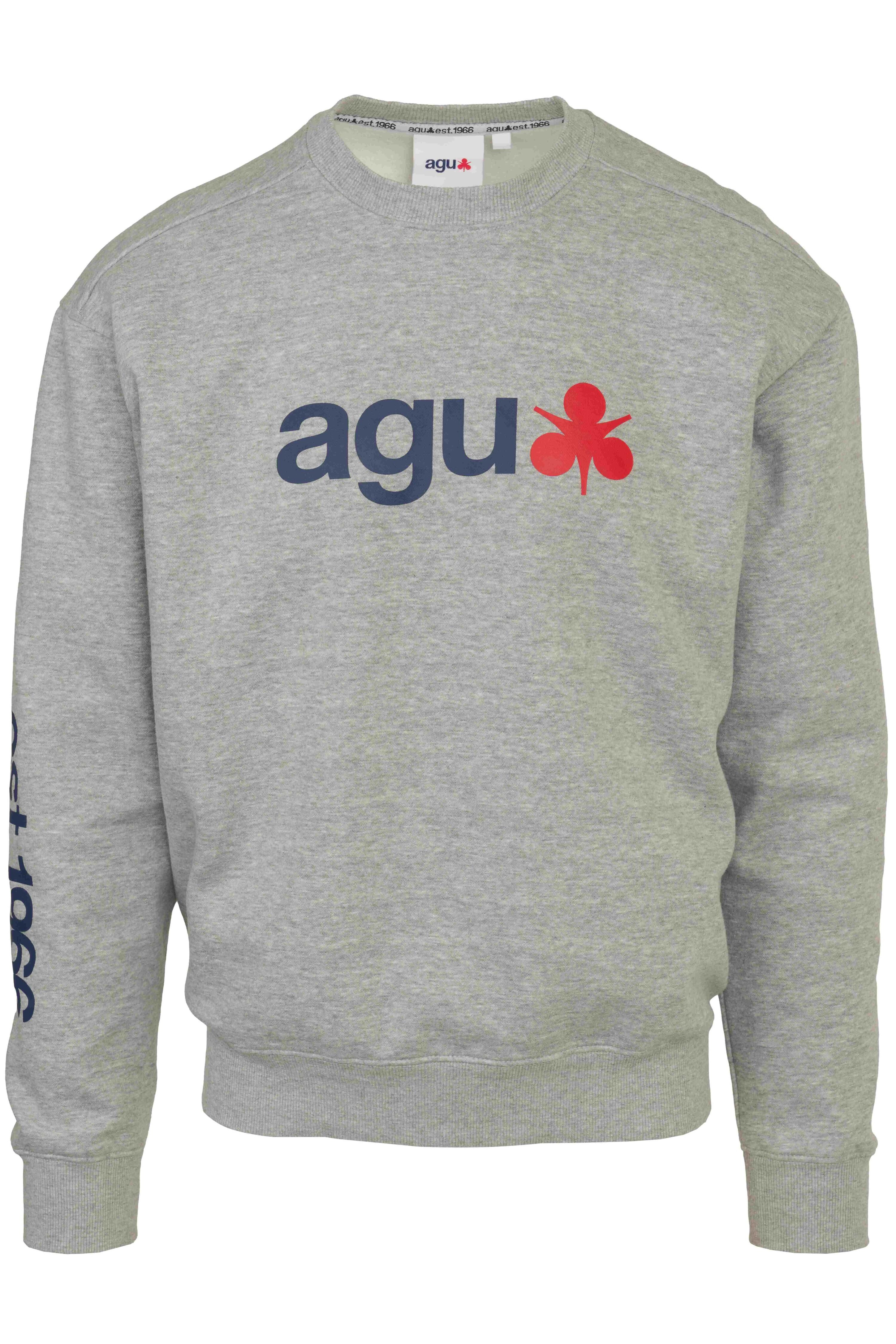 AGU picture