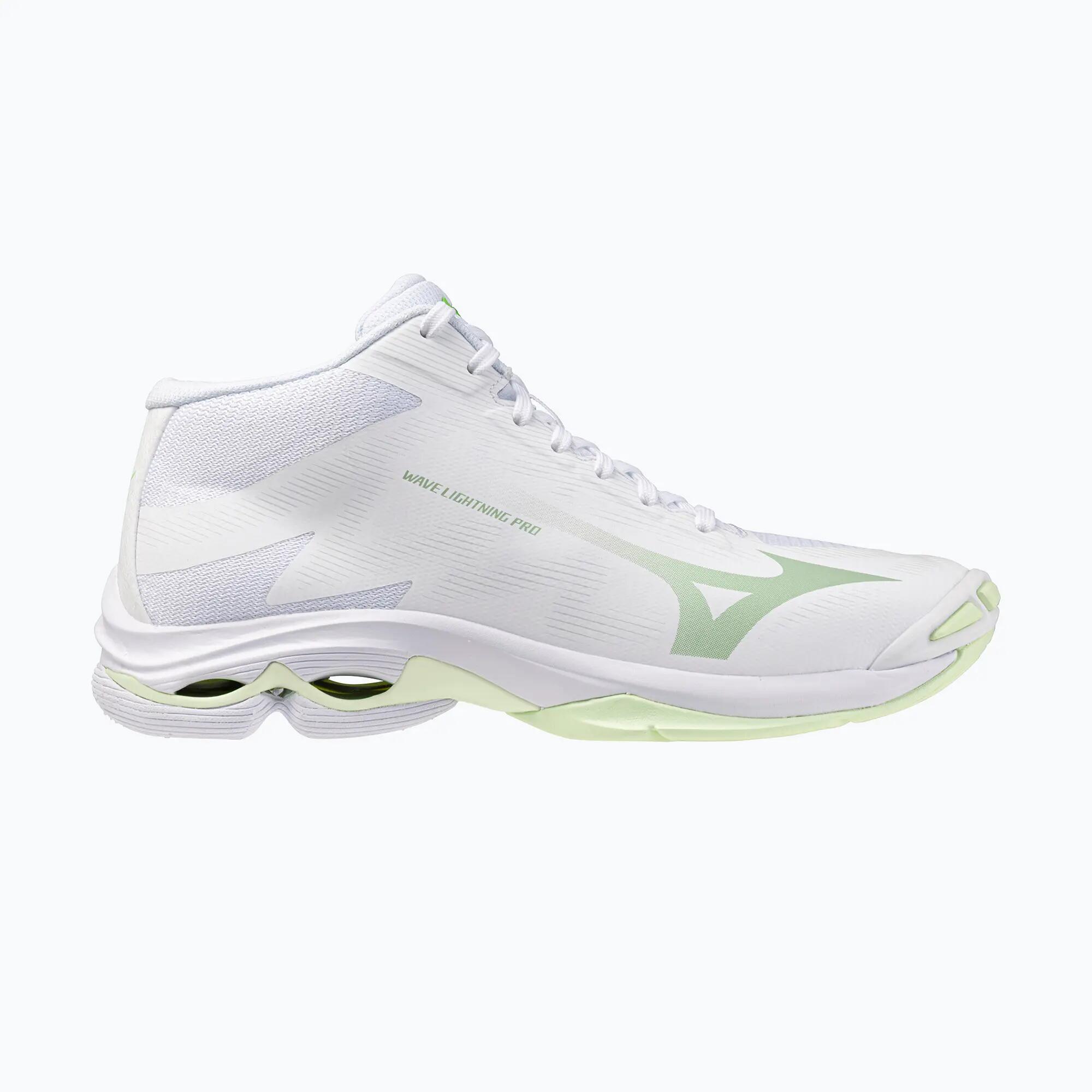 MIZUNO picture