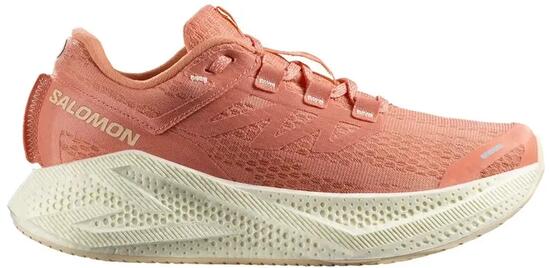 Damenschuhe Salomon Aero Glide 3