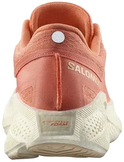 Damenschuhe Salomon Aero Glide 3 2/4