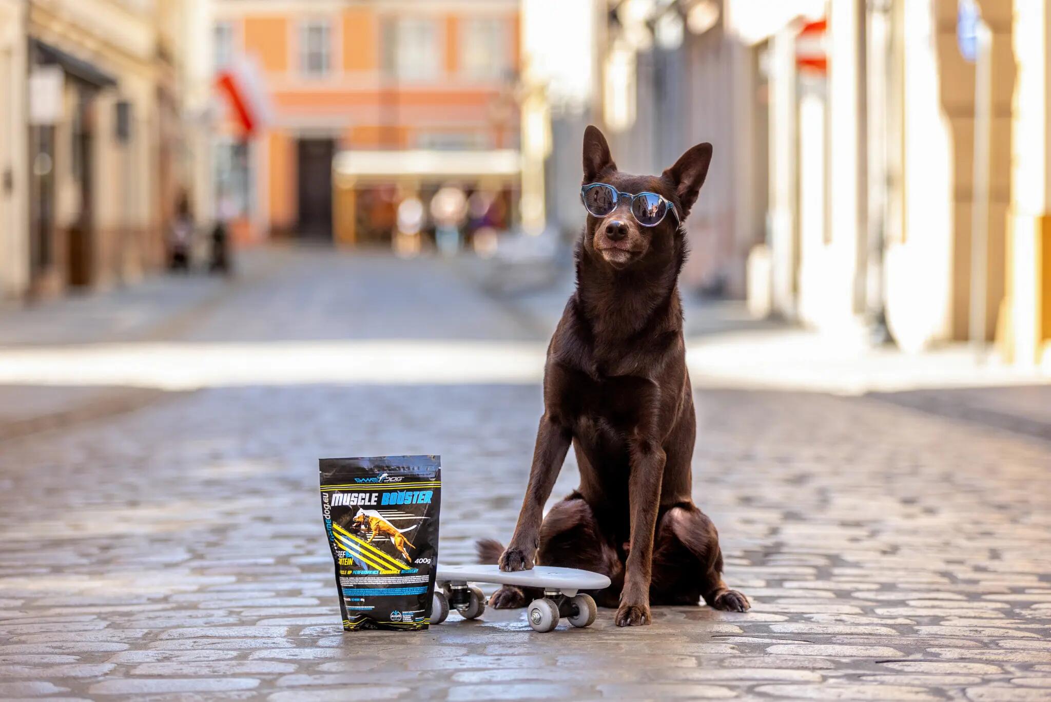 Odżywka białkowo-tłuszczowa dla psów sportowych Game Dog Muscle Booster 400 g 3/3