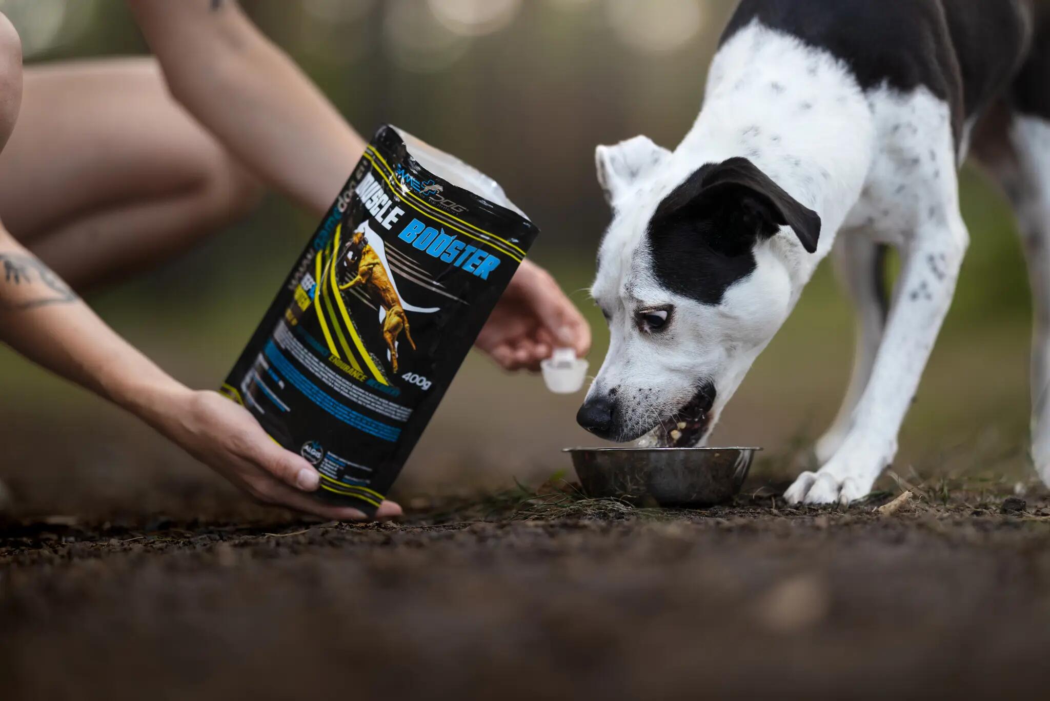 Odżywka białkowo-tłuszczowa dla psów sportowych Game Dog Muscle Booster 400 g 2/3